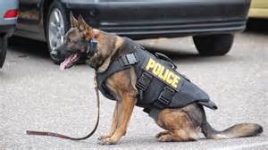 police dog